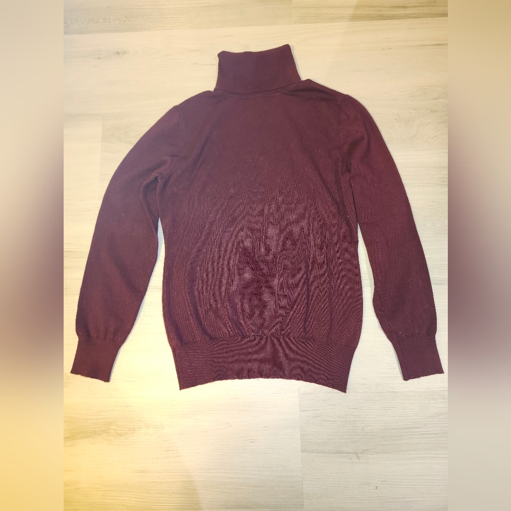 Cielo Deep Red Turtleneck Sweater